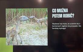 SPOTKANIE Z PANIĄ GEOLOG 8