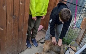 WIZYTA WOLONTARIUSZY W SCHRONISKU W OŁAWIE 2
