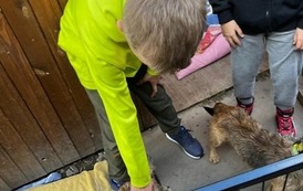 WIZYTA WOLONTARIUSZY W SCHRONISKU W OŁAWIE 7