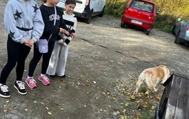 WIZYTA WOLONTARIUSZY W SCHRONISKU W OŁAWIE 12
