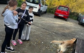 WIZYTA WOLONTARIUSZY W SCHRONISKU W OŁAWIE 13